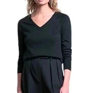 Banana Republic Sweater Elevated Basic Preppy Women M Luxe Academia Merino Black